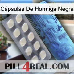 Cápsulas De Hormiga Negra 34